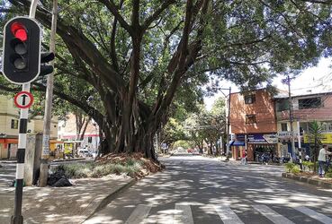 Renovacion de seguro obligatorio